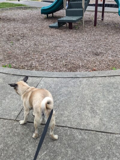 Southpoint Park - Lexington, KY