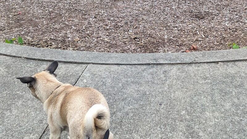 Southpoint Park - Lexington, KY