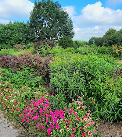 The Arboretum, State Botanical Garden of Kentucky - Lexington, KY