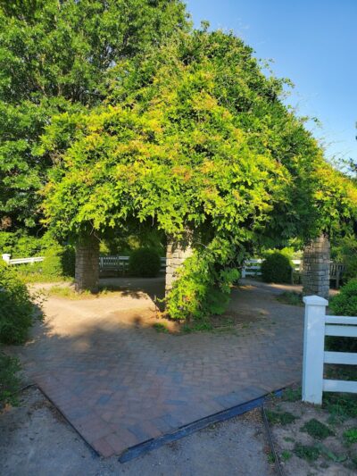 The Arboretum, State Botanical Garden of Kentucky - Lexington, KY