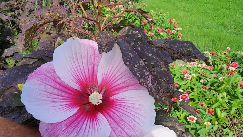 The Arboretum, State Botanical Garden of Kentucky - Lexington, KY