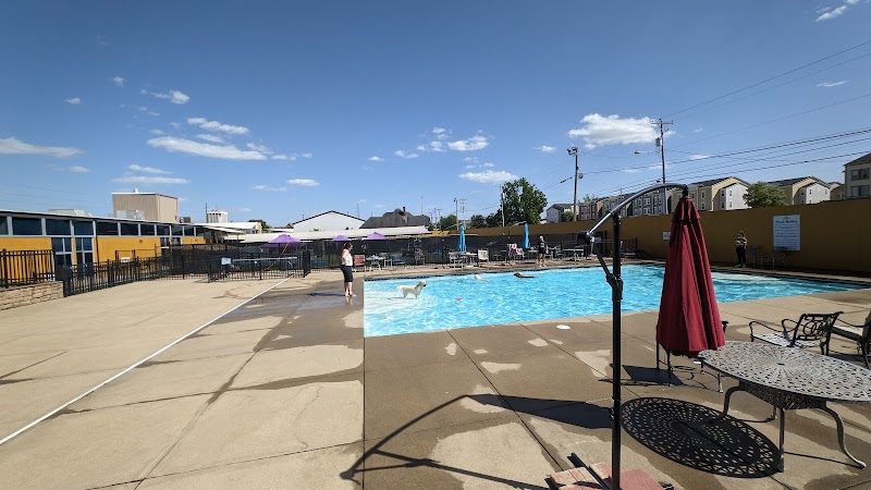 Uptown Hounds - Lexington, KY