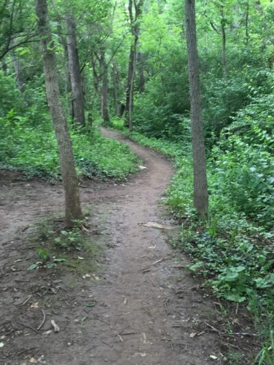 Veterans Park - Lexington, KY