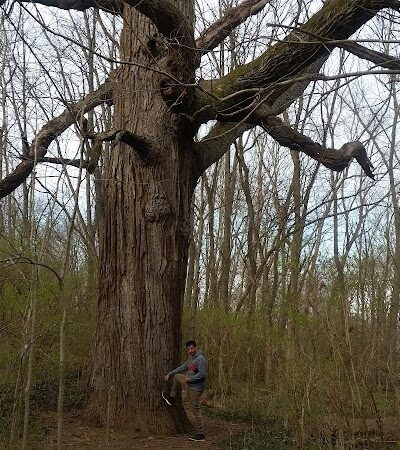 Veterans Park - Lexington, KY