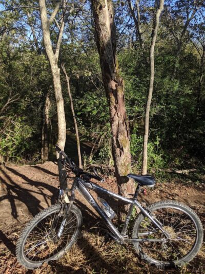 Veterans Park - Lexington, KY