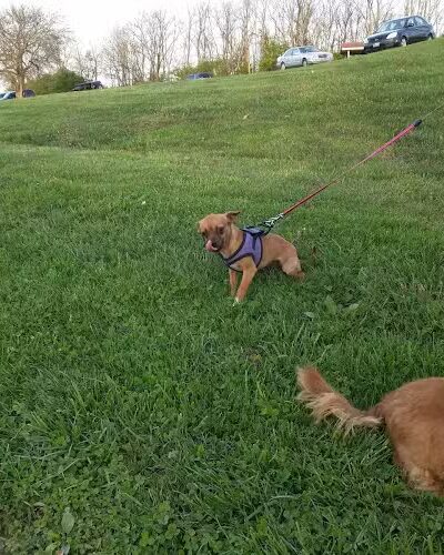 Veterans Park - Lexington, KY