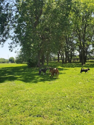 Wellington Park - Lexington, KY