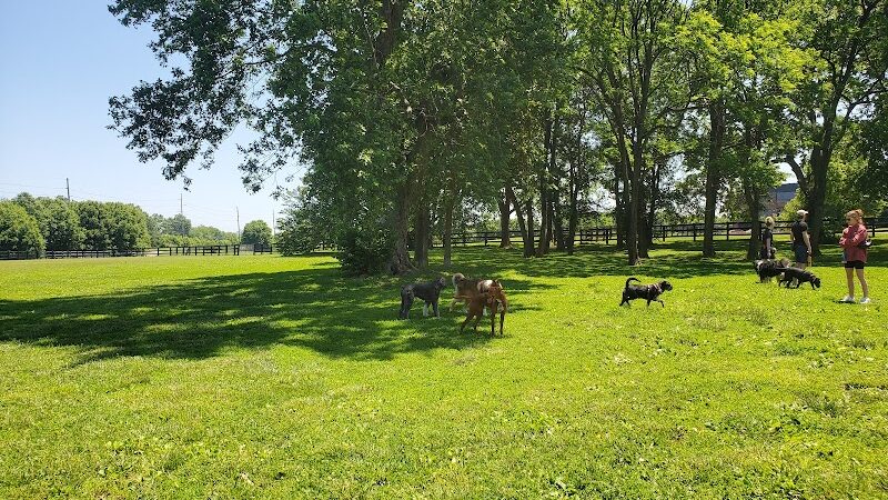 Wellington Park - Lexington, KY