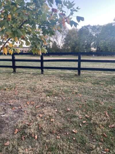 Wellington Park - Lexington, KY