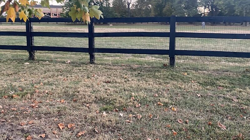 Wellington Park - Lexington, KY