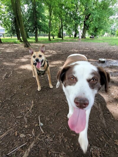 Wellington Park - Lexington, KY