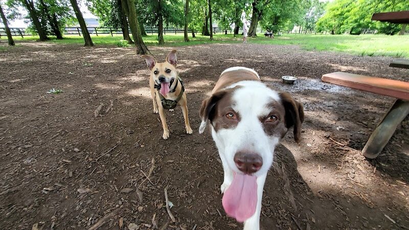 Wellington Park - Lexington, KY