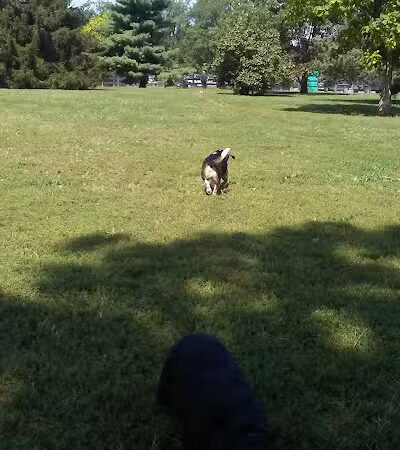 Wellington Park - Lexington, KY