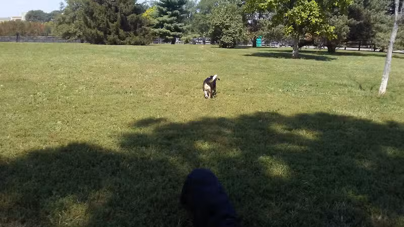 Wellington Park - Lexington, KY