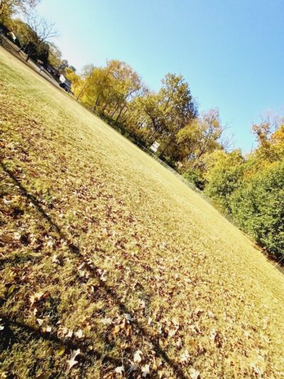 Wolf Run Park - Lexington, KY