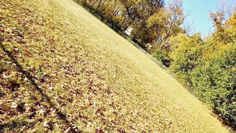 Wolf Run Park - Lexington, KY