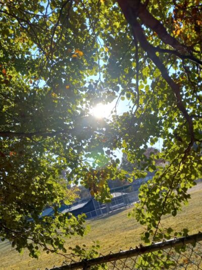 Wolf Run Park - Lexington, KY