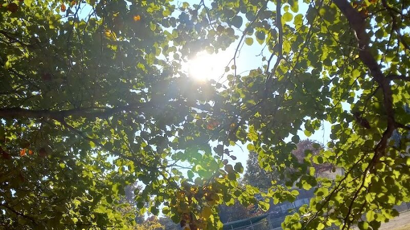 Wolf Run Park - Lexington, KY