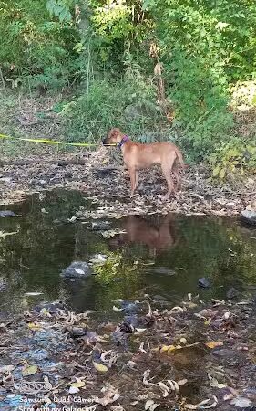 Wolf Run Park - Lexington, KY