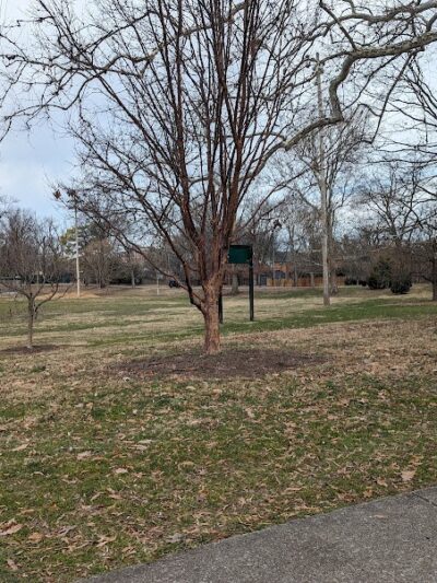 Woodland Park Playground - Lexington, KY