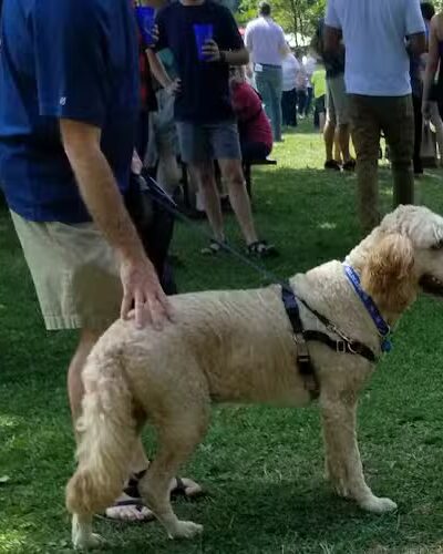 Woodland Park - Lexington, KY