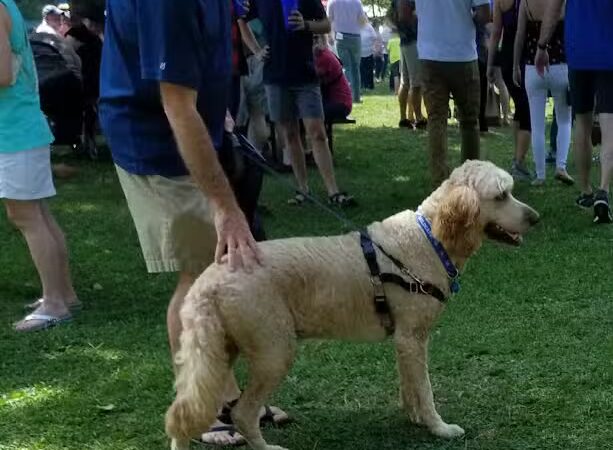 Woodland Park - Lexington, KY