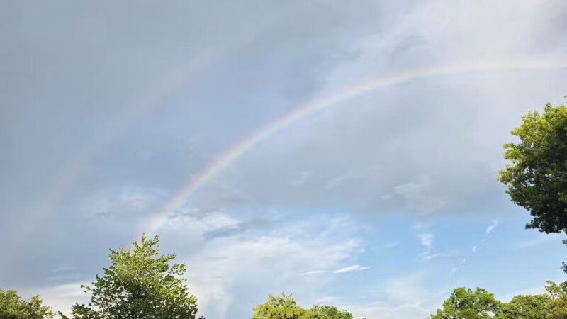 Kirklevington Park - Lexington, KY