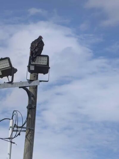 Masterson Station Park - Lexington, KY