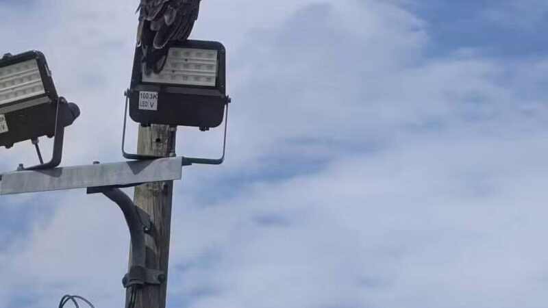 Masterson Station Park - Lexington, KY