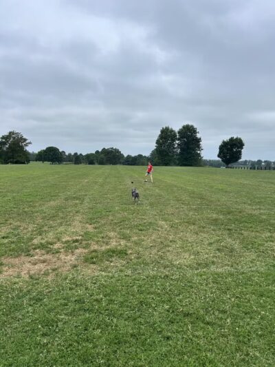 Masterson Station Park - Lexington, KY