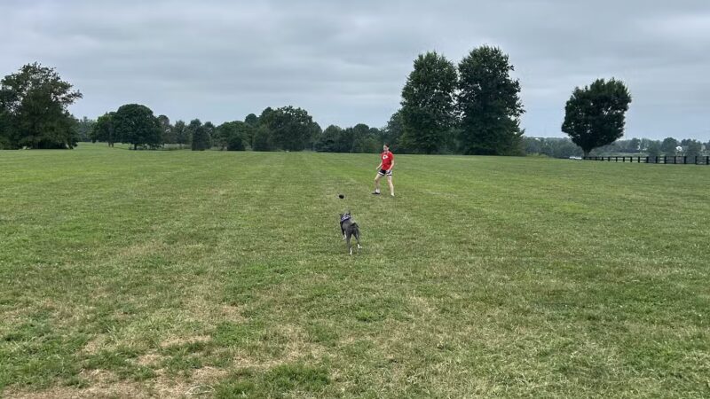 Masterson Station Park - Lexington, KY