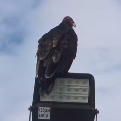 Masterson Station Park - Lexington, KY