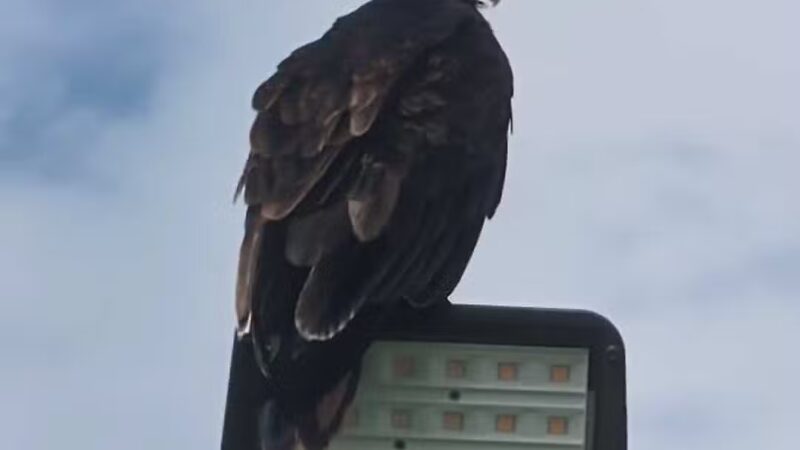 Masterson Station Park - Lexington, KY