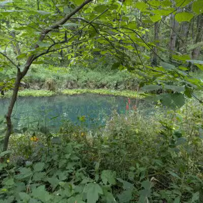 McConnell Springs Park - Lexington, KY
