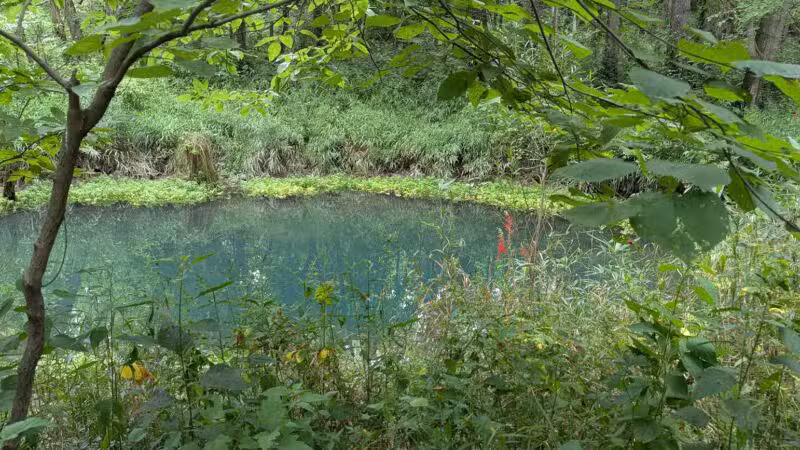 McConnell Springs Park - Lexington, KY