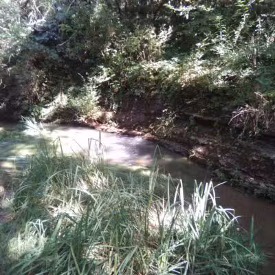 McConnell Springs Park - Lexington, KY