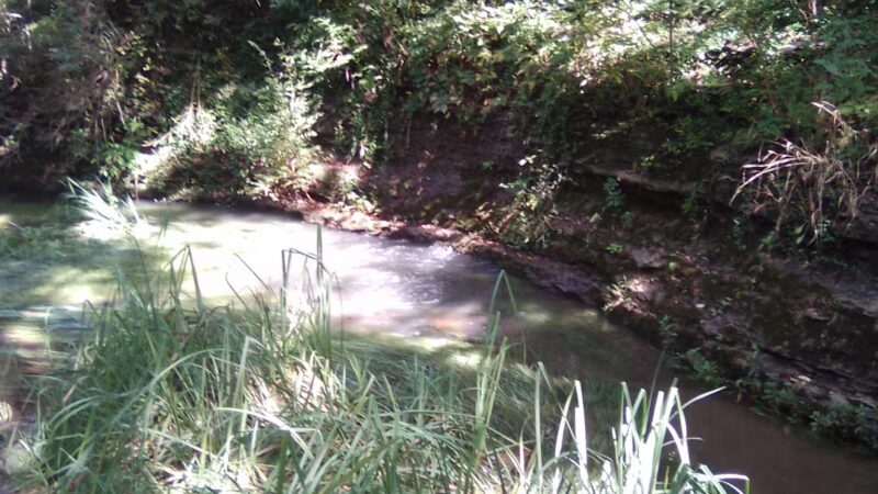 McConnell Springs Park - Lexington, KY