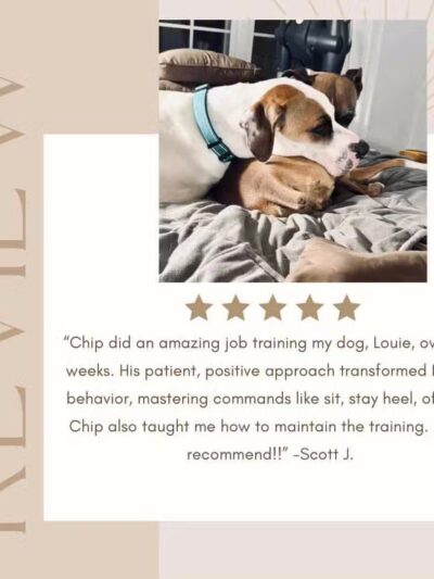 Off Leash K9 Training Lexington - Lexington, KY