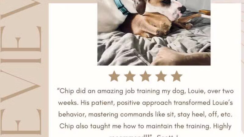 Off Leash K9 Training Lexington - Lexington, KY