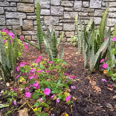 The Arboretum, State Botanical Garden of Kentucky - Lexington, KY