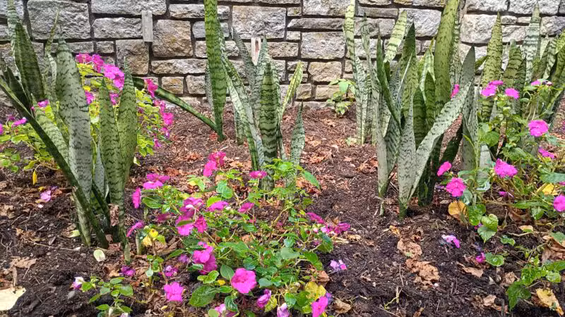 The Arboretum, State Botanical Garden of Kentucky - Lexington, KY