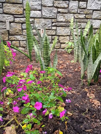 The Arboretum, State Botanical Garden of Kentucky - Lexington, KY