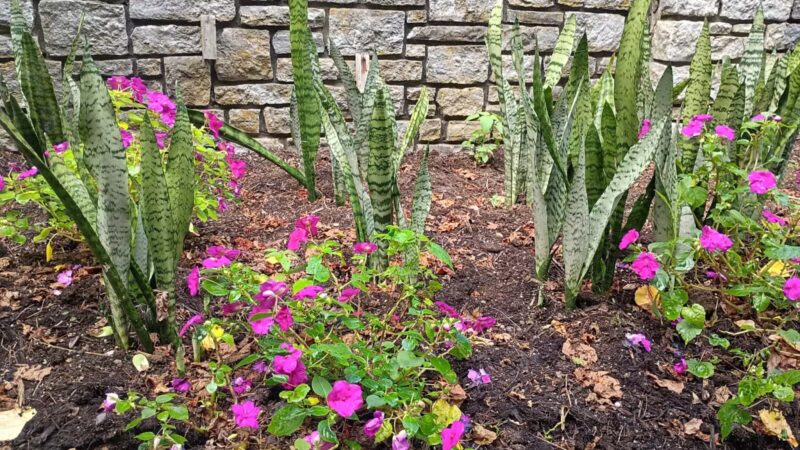 The Arboretum, State Botanical Garden of Kentucky - Lexington, KY