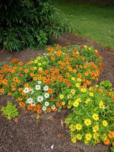 The Arboretum, State Botanical Garden of Kentucky - Lexington, KY