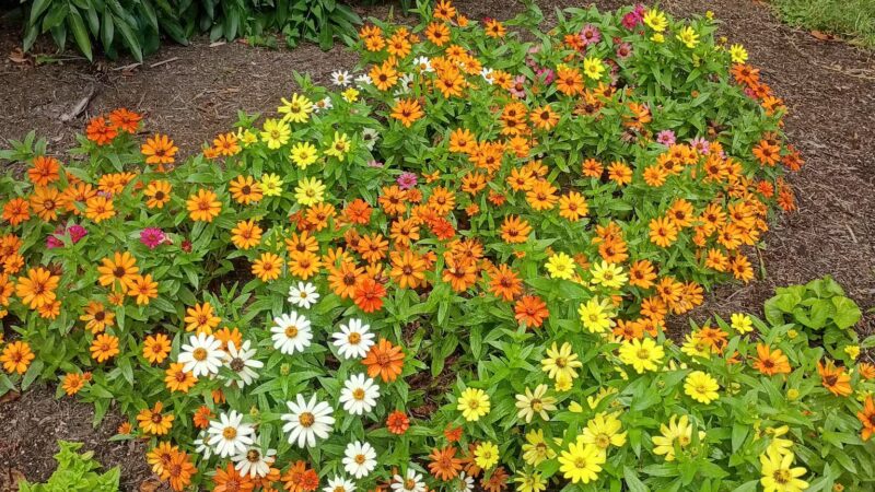 The Arboretum, State Botanical Garden of Kentucky - Lexington, KY