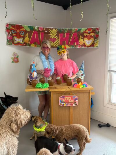 The Dognasium Doggy Daycare - Lexington, KY