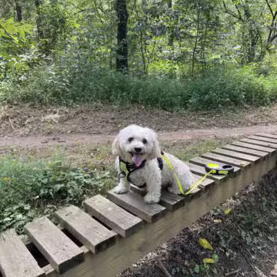 Veterans Park - Lexington, KY
