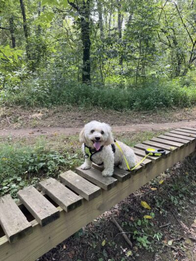 Veterans Park - Lexington, KY