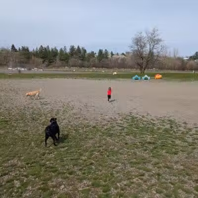 Scraps Dog Park - Liberty Lake, WA