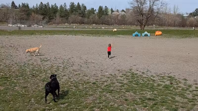 Scraps Dog Park - Liberty Lake, WA